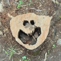 A tree stump with a face cut out of it